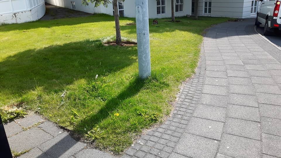 Gras og hellur fyrir hreinsun